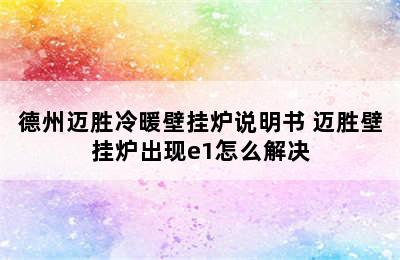 德州迈胜冷暖壁挂炉说明书 迈胜壁挂炉出现e1怎么解决